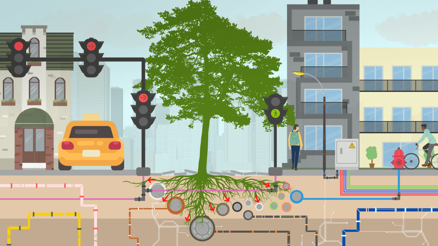 Urban trees - Cables, pipes, underground infrastructure - TreeBuilders