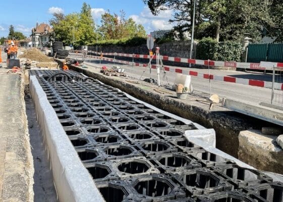 Route de Lausanna Geneva Switzerland TreeParker TreeBuilders (3)